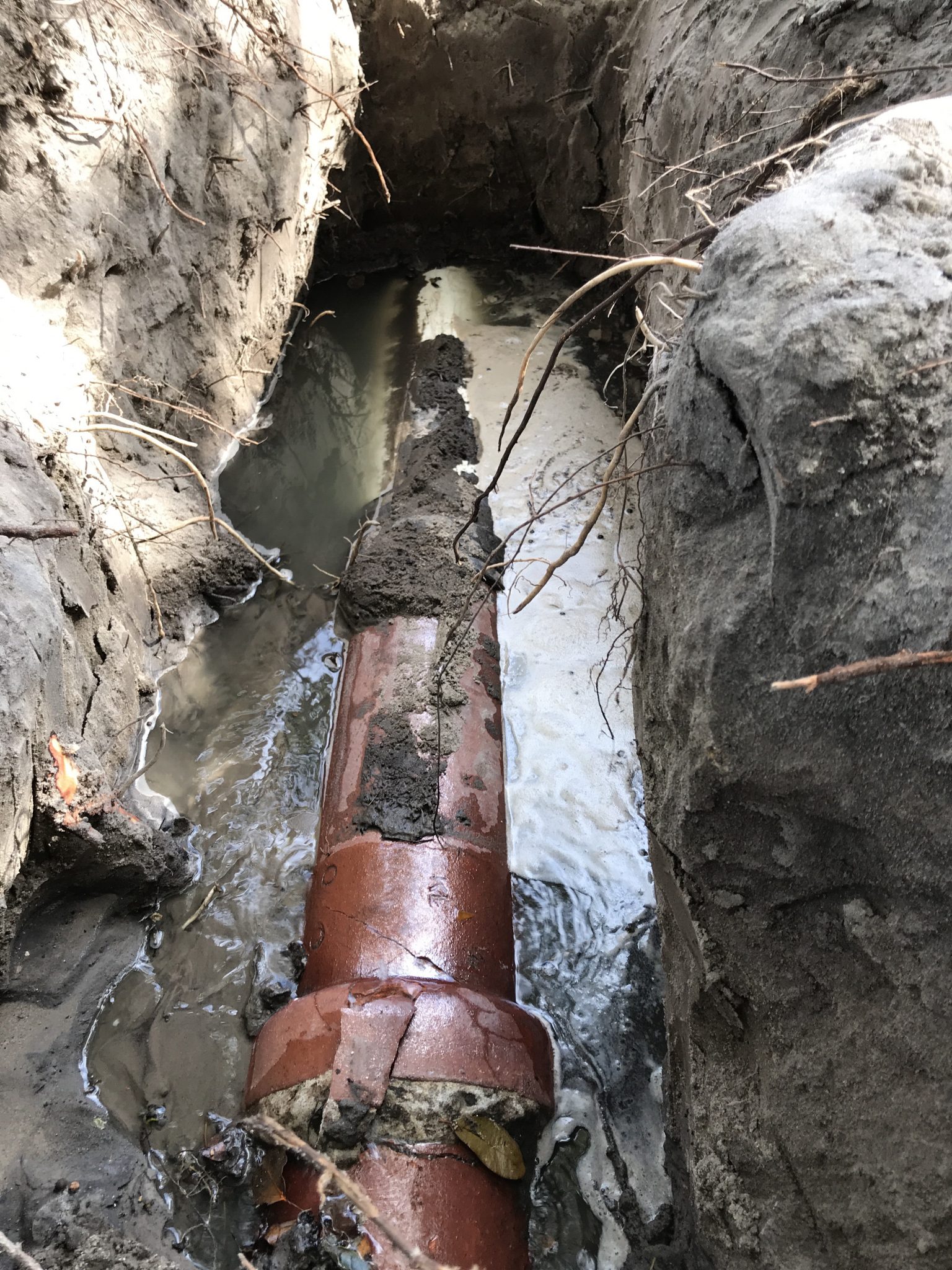 The importance of sewer inspections Trenchless Innovation